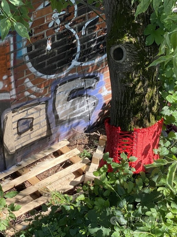 柏林莫德森橋橋墩旁一棵被套上紅色束身馬甲的樹幹，周圍散落木棧板與塗鴉牆面，顯示此處有人活動與棲身的痕跡。中央社記者林尚縈柏林攝　115年4月30日