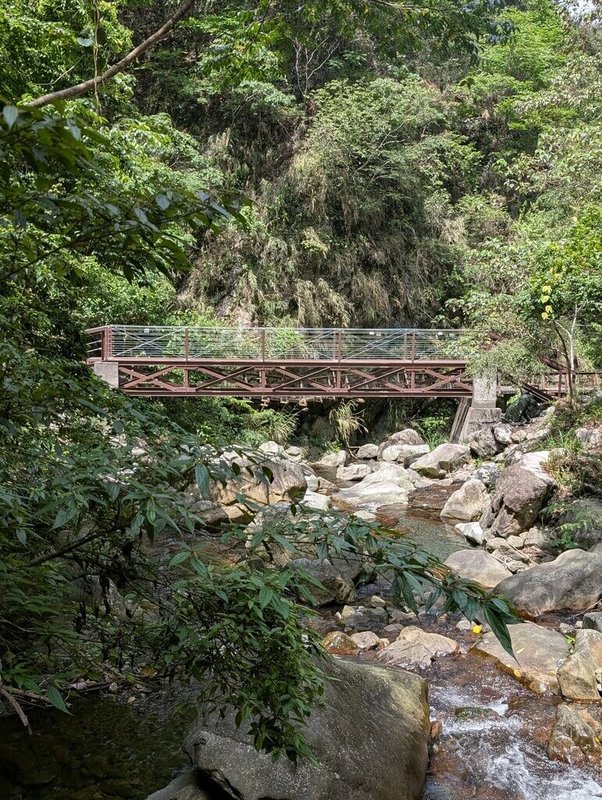 台中市和平區「谷關七雄」之一的唐麻丹山，支線「蝴蝶谷步道」1.4公里處的木棧橋因結構毀損無法通行，經過改線整建工程後重新開放。圖為2號橋。（林業署提供）中央社記者趙麗妍傳真 115年4月30日