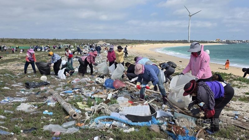 澎湖縣政府春季大淨灘1日在龍門沙灘舉行，民眾彎腰撿拾海漂廢棄物，希望再現美麗海灣。中央社  115年5月1日