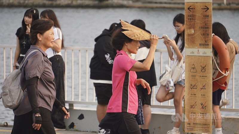 圖為高雄大港橋一帶午後遊憩民眾拿著大片枯葉遮陽。（中央社檔案照片）