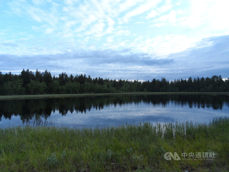 瑞典北部的特殊天光與自然地景吸引不少國際觀眾觀看「駝鹿大遷徙」。中央社記者辜泳秝卡雷蘇安多攝　115年5月3日