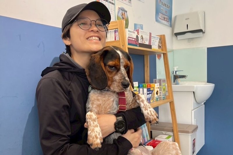 有日本旅客在網上貼出桃機檢疫犬凶狠表情的諧音哏宣導海報，引發台日網友熱議。農業部動植物防疫檢疫署桃園分署桃園機場檢疫站表示，領犬員是狗狗的親密夥伴，手機裡有非常多狗狗的照片，「這就是他們的日常」，站方就請領犬員提供適合的照片作為宣導品。（動植物防疫檢疫署桃園分署提供）中央社記者吳睿騏桃園機場傳真　115年5月4日