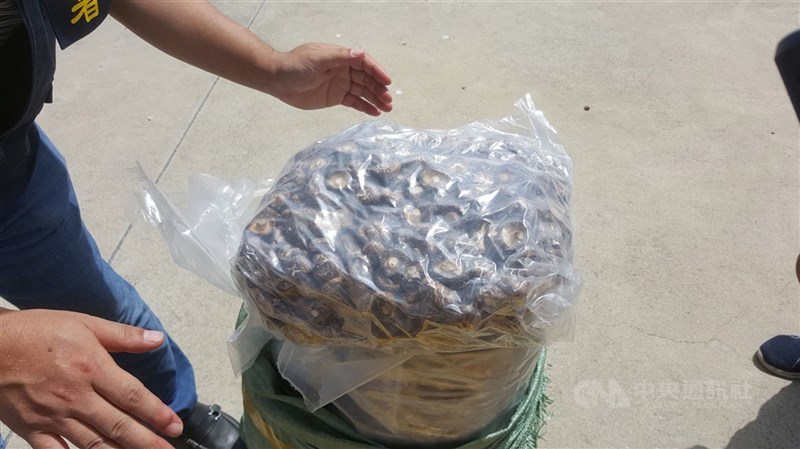 圖為海巡查獲澎漁船走私香菇。（中央社檔案照片）