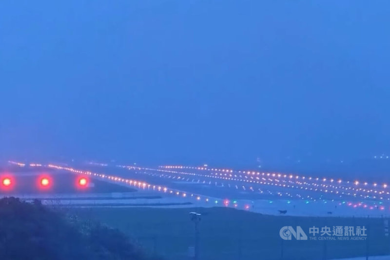有民眾在桃園國際機場航廈內發現喜鵲停留逾半個月，也有人發文指看見機場跑道上有犬隻，擔心影響飛安。機場公司5日表示，對空側動物採即時驅離或捕捉後移離處理；至於誤入航廈內的鳥類，則會協同廠商友善誘捕。（翻攝照片）中央社記者吳睿騏桃園機場傳真　115年5月5日
