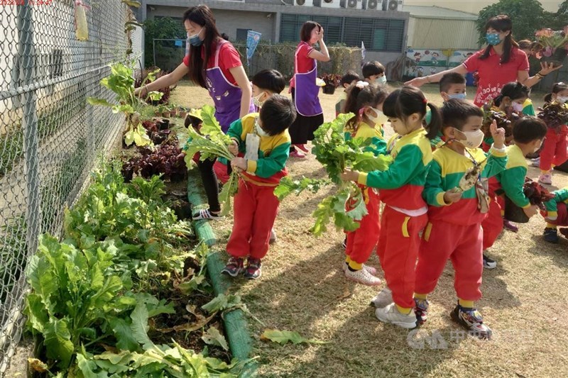 政府資本超過50%的公營公司，使用公有房地委託辦理非營利幼兒園及職場互助教保服務中心，自115年起免徵房屋稅及地價稅。（中央社檔案照片）