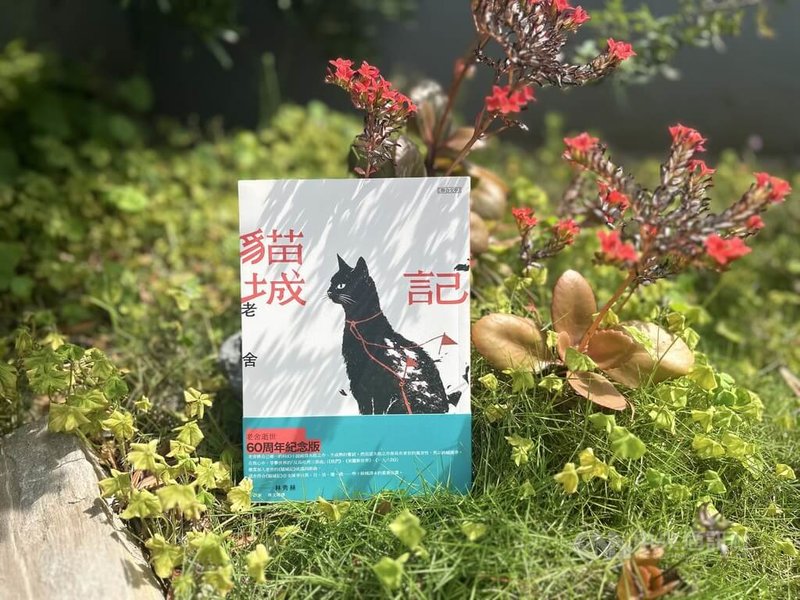 以作品「駱駝祥子」聞名的已故中國小說家老舍，上個世紀30年代寫下首部科幻小說「貓城記」，諷刺失序的現代文明，近期重新在台灣出版。中央社記者邱祖胤攝　115年5月8日