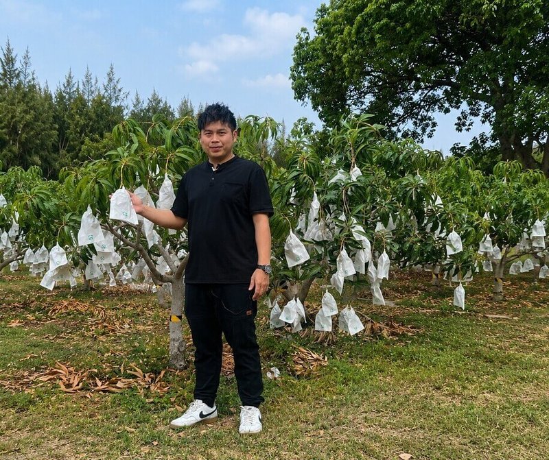 屏東枋山的「盧家愛文芒果」，在第三代青農盧旺昇25歲返鄉接班後，因栽種出精品等級的愛文芒果而打開外銷市場。（家樂福提供）中央社記者何秀玲傳真　115年5月8日