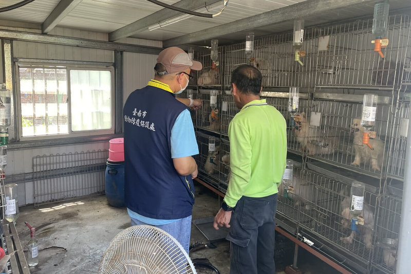 台南市動物防疫保護處11日至學甲區一處疑似犬隻不當飼養處所複查，查現場共飼養24隻犬隻，未發現幼犬，亦未查獲繁殖或買賣等營業行為事證。（台南市政府提供）中央社記者楊思瑞台南傳真　115年5月11日