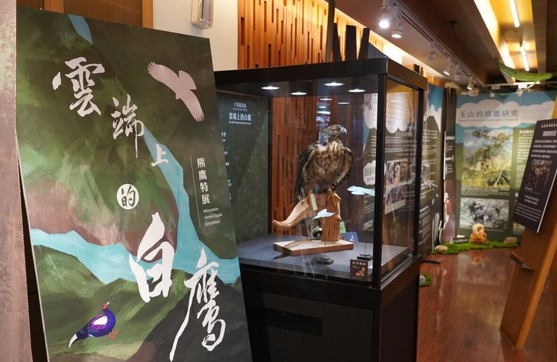 熊鷹在台灣是瀕臨絕種保育類野生動物,玉山國家公園管理處以熊鷹研究與影像拍攝成果,於南投縣水里遊客中心辦理「雲端上的白鷹」特展,展期至12月19日。(玉山國家公園管理處提供)中央社記者蕭博陽南投縣傳真 115年5月12日
