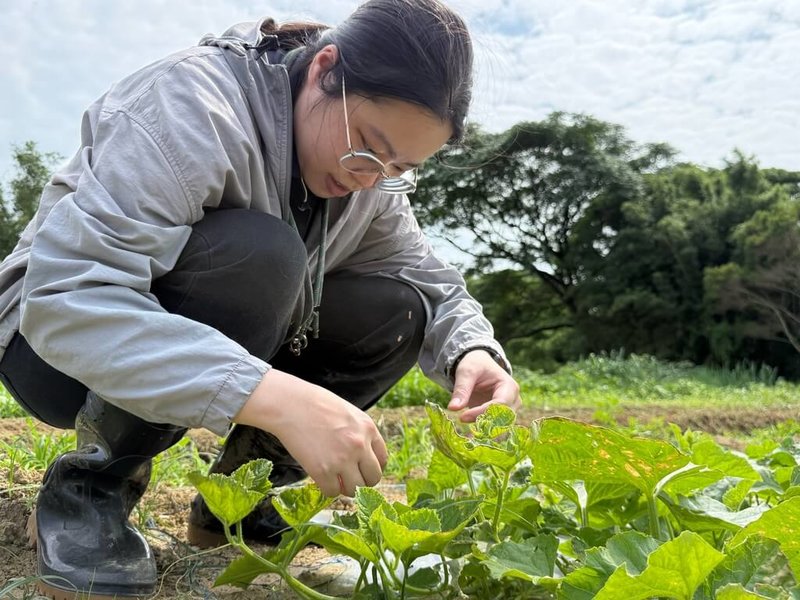 26歲的潘顯柔是首屆「植物診療師國考」合格診療師，服務短短1年便成為農民口中可靠的「植物醫生」，她認為，植物診療不只是書本知識，更重要的是田間實務經驗與農民回饋。（桃園市觀音區農會提供）中央社記者吳睿騏桃園傳真　115年5月18日