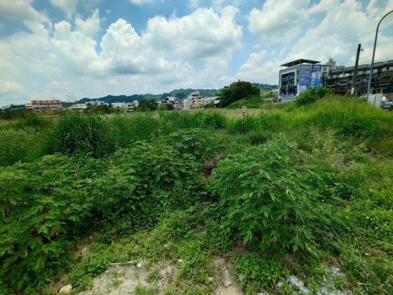 南投市德興國小等遷校預定地30年前徵收後遲未使用，地主打官司、縣府敗訴還地卻拖延15年，土地使用分區迄今還是學校用地，地主取回土地後無法使用，現場雜草叢生，成為社區髒亂死角。（南投縣議員簡千翔提供）中央社記者蕭博陽傳真　115年5月21日