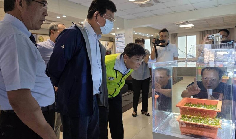 澎湖縣政府與中華電信台南營運處25日在澎湖水產種苗繁殖場簽署「海草生態復育」合作備忘錄,與會眾人並實地參訪了解海草復育過程。中央社 115年5月25日
