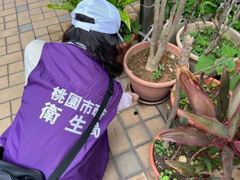 桃園市政府衛生局防範登革熱疫情，呼籲市民落實「巡、倒、清、刷」，6月1日起民眾如未主動清除積水容器及積水處，經查獲孳生病媒蚊幼蟲，將依傳染病防治法開罰。（桃園市衛生局提供）中央社記者葉臻傳真　115年5月26日
