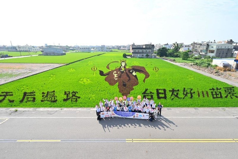 第17屆台日觀光高峰論壇在苗栗舉辦，縣府文化觀光局29日安排踩線行程，特別在苑裡鎮打造「台日友好in苗栗」彩繪稻田，象徵台日友誼在苗栗土地上深耕發芽。（苗栗縣政府提供）中央社記者管瑞平傳真　115年5月29日