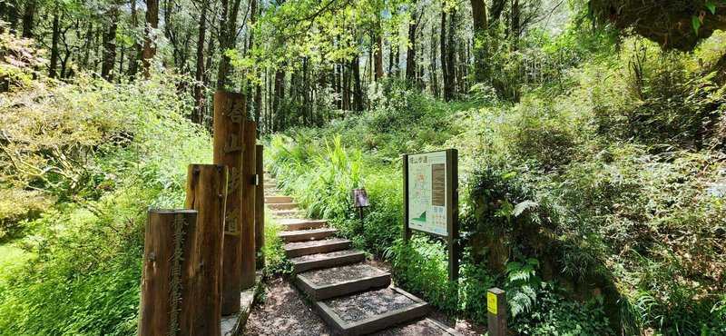 阿里山國家森林遊樂區內塔山步道近日檢測報告顯示，跨越鐵道陸橋木結構木質劣化，導致安全疑慮，為確保安全，7月起封閉步道暫停開放。（林保署嘉義分署提供）中央社記者蔡智明傳真　115年5月29日