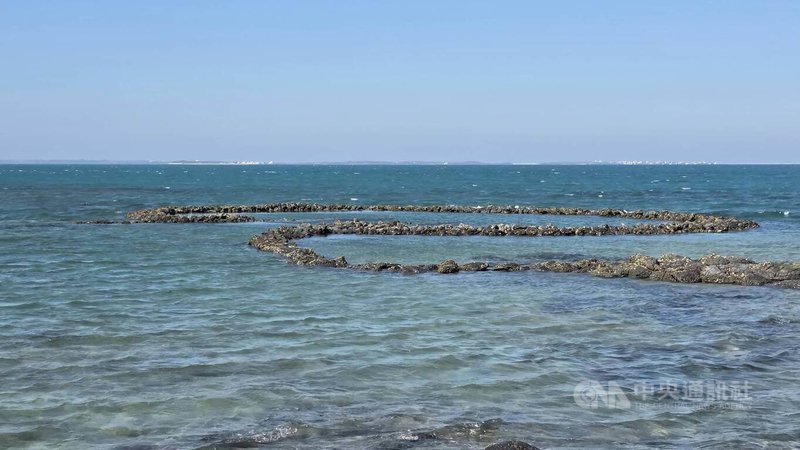澎湖西嶼鄉「牛心灣石滬」因位處赤馬牛心山旁而得名,迄今已有150年歷史,由於滬手受風浪衝擊部分倒塌,1日起進行修護工程。中央社 115年6月1日