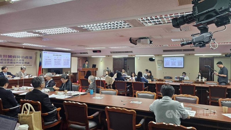 立法委員劉建國國會辦公室、立法院厚生會、財團法人厚生基金會3日舉行「慢性腎臟病防治政策促進委員會成立大會暨政策建言書發布與專家會議」，呼籲政府推動國家級腎病防治政策。中央社記者曾以寧攝　115年6月3日