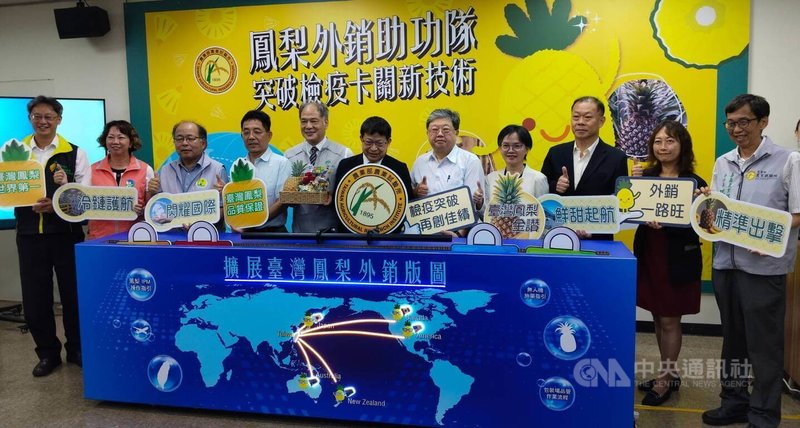 鳳梨是台灣外銷產值最高的水果，近年來面臨檢疫蟲害與貯運品質挑戰，農業部農業試驗所3日舉行記者會，說明已突破關卡，助攻布局海外市場。中央社記者汪淑芬攝　115年6月3日
