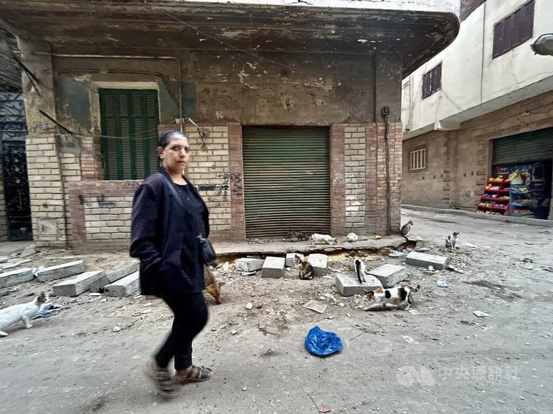 由於犬隻繁殖速度快，加上開羅市區街道垃圾堆積與都市人口擴張，許多開羅居民近年在路上遭犬隻攻擊、追逐，甚至咬傷的事件層出不窮。圖為開羅老社區一角，流浪貓犬隨意出沒。中央社記者施婉清開羅攝 115年6月6日