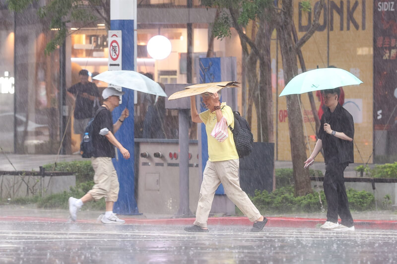 圖為7日北市街頭有民眾未帶雨具，在滂沱雨勢中以紙板擋雨過馬路。中央社記者謝佳璋攝　115年6月7日