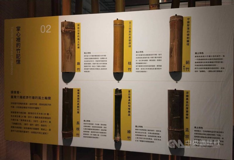林保署統計,台灣目前竹林種植面積約18.3萬公頃。2026台灣竹博覽會12日上午在台北松山文創園區開幕,現場展示介紹台灣6大經濟竹種。中央社記者汪淑芬攝 115年6月12日