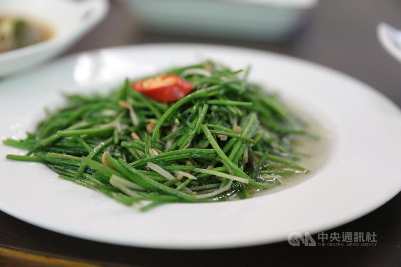 「野蓮」為高雄市美濃區原生水生野菜,經農民將其轉為經濟作物後,如今成為全台熱炒店與餐廳的經典佳餚,爽口清脆獲消費者喜愛。中央社記者張已亷攝 115年6月14日