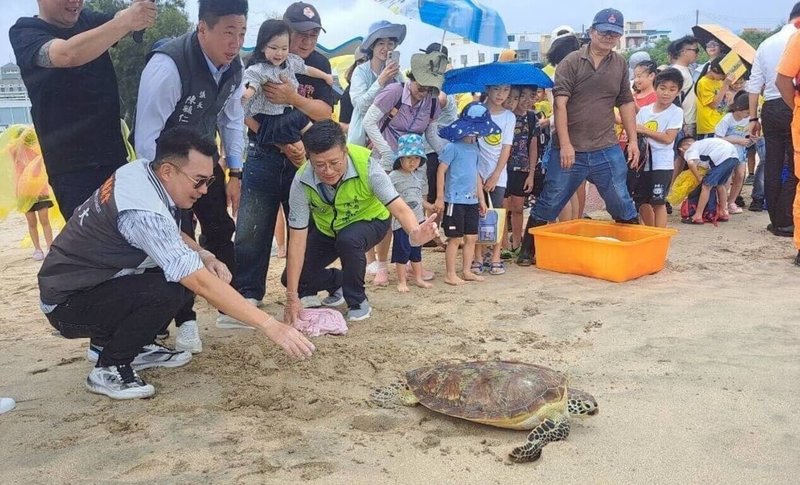 澎湖農漁局配合世界海龜日，16日在嵵裡海灘野放7隻保育海龜重返大海，以行動落實海洋生態保育，近30年來已野放400餘隻保育海龜。（澎湖農漁局提供）中央社  115年6月16日