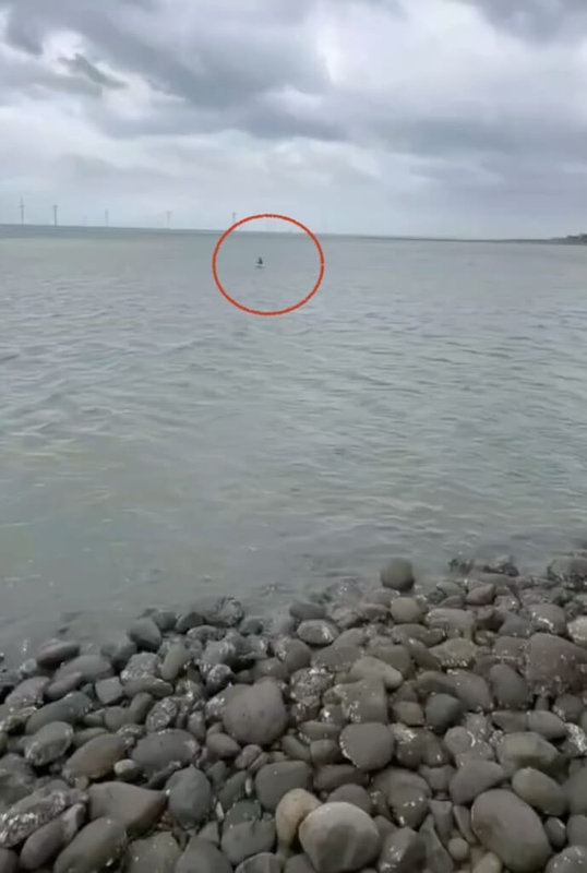 苗栗縣1名國小男童翹課獨自前往後龍海邊戲水，搭乘保麗龍漂浮在中港溪出海口，經釣客發現即時通報獲救。苗栗縣政府教育處17日表示，男童家庭較為脆弱，將轉介輔諮中心協助輔導。（民眾提供）中央社記者管瑞平傳真　115年6月17日