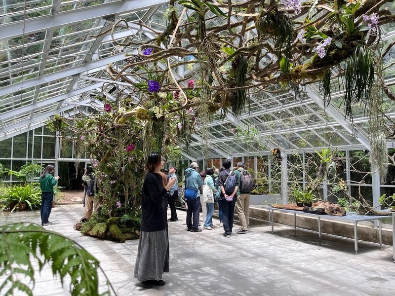 升級森林療癒，位於阿里山國家森林遊樂區內阿里山植物園「浮光界」溫室，即日起對外開放，為民眾提供一處兼具科普教育與藝術體驗的新場域。（林保署嘉義分署提供）中央社記者蔡智明傳真 115年6月18日