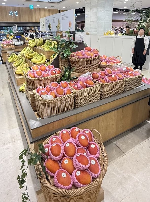 台灣芒果已進入韓國市場許久。進入盛產季，就能看到百貨公司超市或大型超市，擺上紅彤彤的台灣愛文芒果。（首爾台灣貿易中心提供）中央社記者楊啟芳首爾傳真　115年6月20日