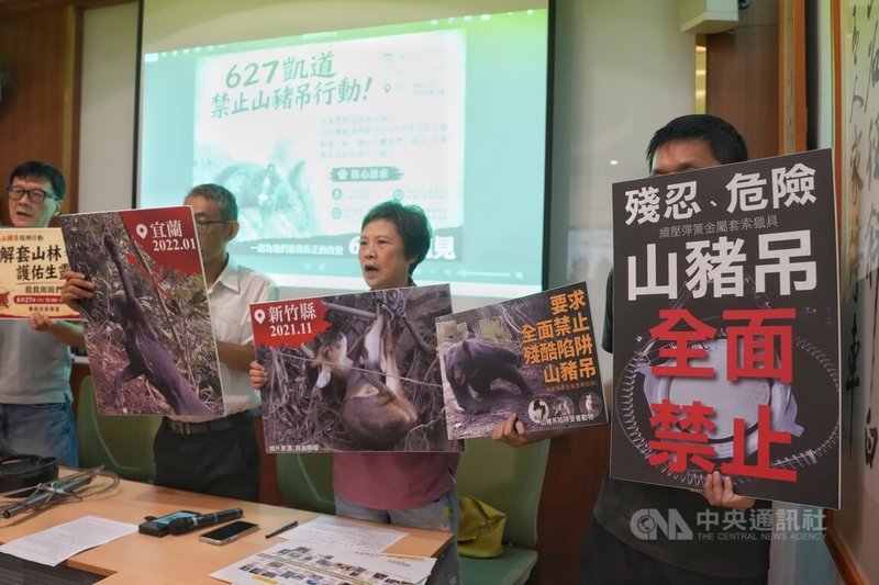 多個動保團體組成的台灣動物共生聯盟22日在立法院舉行記者會，呼籲政府全面禁止山豬吊，並號召民眾6月27日一起上凱道參與「解套山林，護佑生靈」反山豬吊陷阱行動。中央社記者徐肇昌攝　115年6月22日