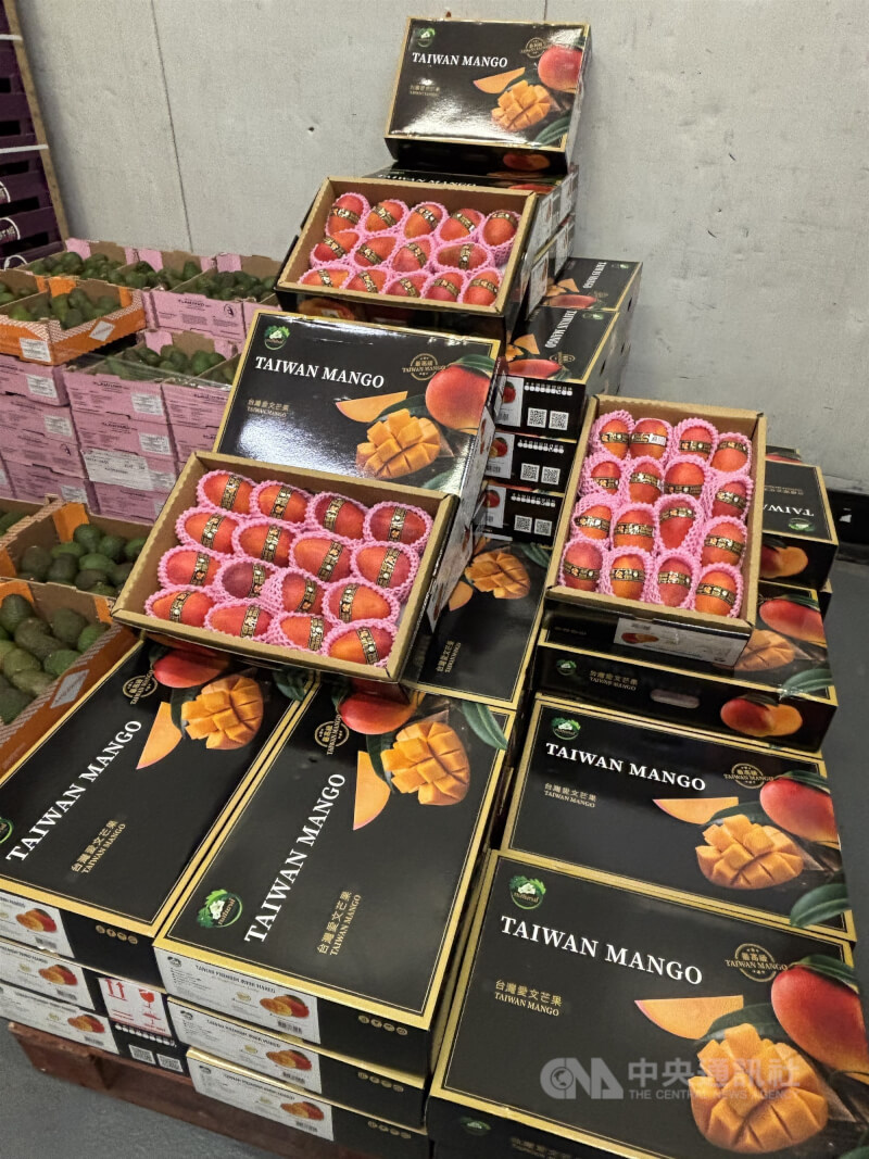 圖為首批進入法國市場的台灣愛文芒果。（中央社檔案照片）
