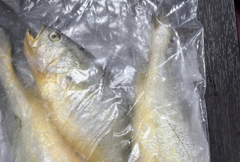 有輸入業者報驗中國冰鮮黃花魚，檢出動物用藥恩氟喹啉羧酸0.01 ppm，依據動物用藥殘留標準，恩氟喹啉羧酸為不得檢出，必須退運或銷毀。（食藥署提供）中央社記者陳婕翎傳真　115年6月23日