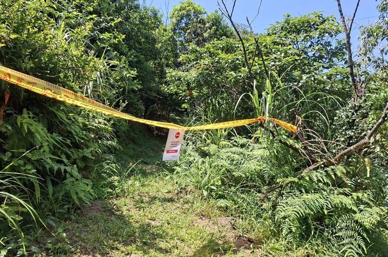 新北市瑞芳區公所表示，由於近來接連發生登山民眾遭虎頭蜂螫傷事件，將暫時封閉三貂嶺、柴寮及小粗坑登山步道，以維護民眾安全。（瑞芳區公所提供）中央社記者王鴻國傳真　115年6月23日