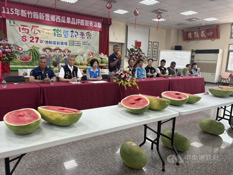 新竹縣新豐鄉農會24日舉辦新豐西瓜節活動宣傳與西瓜果品評鑑競賽，新豐鄉農會表示，竹縣西瓜種植面積約40公頃，年產量約425公噸，其中新豐鄉種植面積達21公頃，是全縣主要西瓜產區，受惠於地理環境及農業技術輔導，新豐生產瓜類品質受肯定。中央社記者郭宣彣攝　115年6月24日