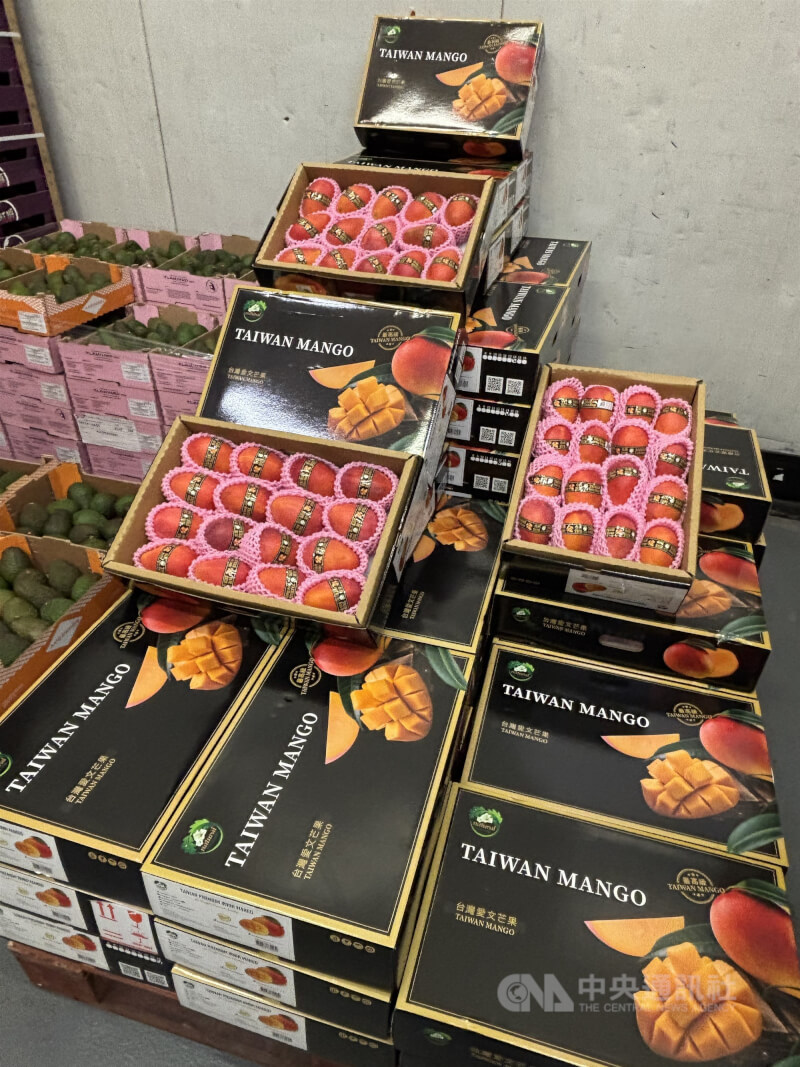 圖為首批進入法國市場的台灣愛文芒果。（中央社檔案照片）