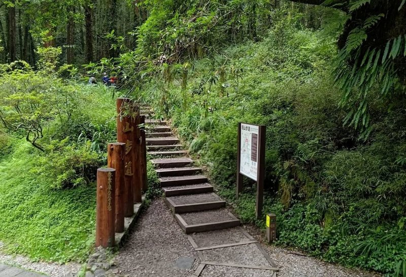 阿里山塔山步道（圖）原訂自7月起封閉至116年6月整修，考量山友登山需求，林保署將全長3.5公里塔山步道分段施工，起點至2K塔山步道與眠月線共線路段，8月底前完成施工，9月開放。（林保署嘉義分署提供）中央社記者蔡智明傳真　115年6月25日