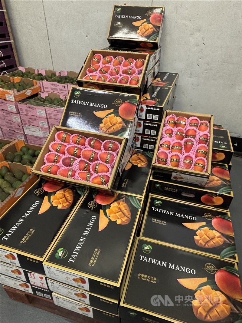 圖為台灣愛文芒果首次進入法國市場。（中央社檔案照片）