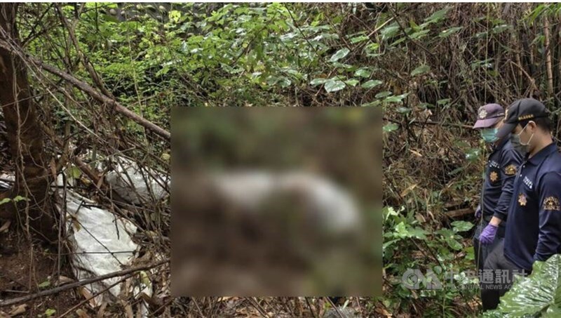 有民眾在芬園鄉1處荔枝園發現保鮮膜包裹屍體，彰化警方下午帶回涉嫌棄屍的3名男子，主嫌林男供稱和女死者一起吸毒，但對方卻暴斃，他不知如何處理才找2名友人協助棄屍。（中央社檔案照片）