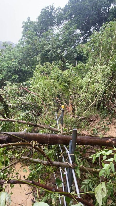 全台大雨，台灣高鐵表示，26日上午8時43分新竹路段邊坡滑動偵測器作動，隨即派遣維修人員趕赴現場確認，因樹木倒塌壓到偵測器，上午9時33分恢復運轉。（台灣高鐵提供）中央社記者黃巧雯傳真　115年6月26日