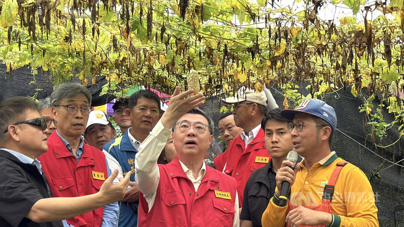 行政院長卓榮泰（前中）27日赴屏東縣視察豪雨災情，並到九如鄉了解苦瓜災損狀況，苦瓜因連日大雨浸水導致根系窒息，已無法再成長。中央社記者李卉婷攝　115年6月27日