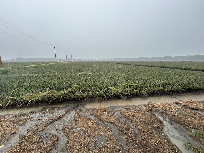 受連日豪雨影響，導致農田泡水，衝擊農作物生長，屏東縣政府表示，統計至28日上午10時，全縣農作物受災面積已達878公頃，農業災損累計超過新台幣1.3億元。（屏東縣政府提供）中央社記者李卉婷傳真　115年6月28日