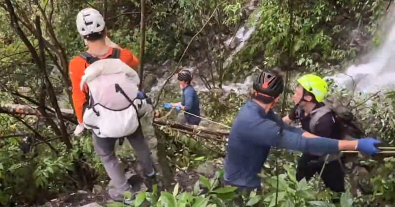 台中市和平區蝴蝶谷瀑布步道1.4公里附近，27日有登山客行經時遭遇落石，4人遭砸，其中3人無生命跡象，另1人胸痛、意識清楚，搜救人員以繩索將無生命跡象者拉上路面。（民眾提供）中央社記者趙麗妍傳真　115年6月27日