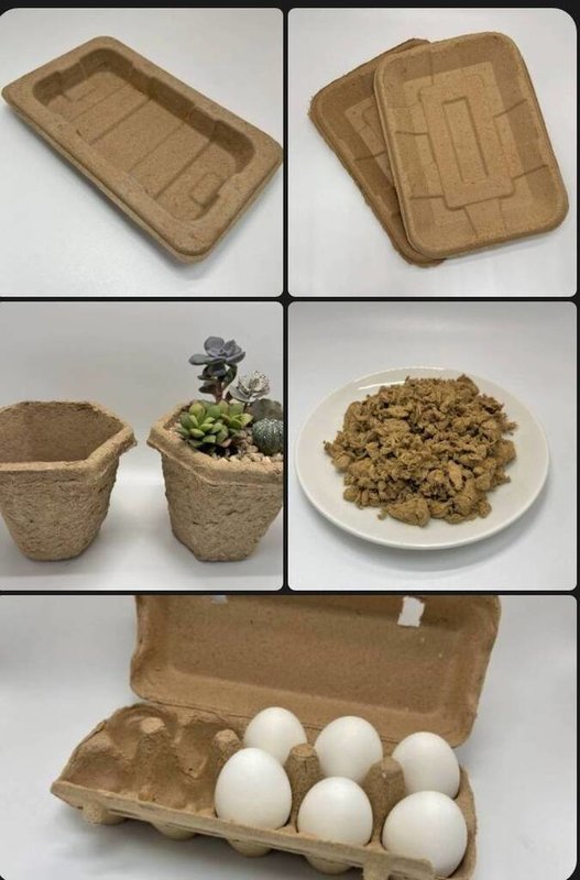 農業部農業試驗所成功利用田間剩餘的稻草，開發出蛋盒、生鮮托盤等食品級包材及盆栽容器，具備可分解性。（農試所提供）中央社記者汪淑芬傳真  115年6月29日