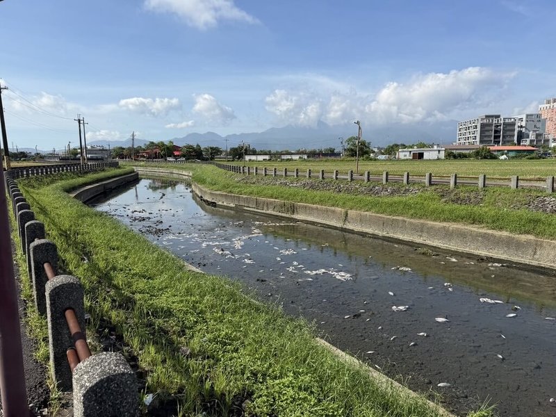 宜蘭縣羅東鎮打那岸排水30日出現約1000隻死魚，分布範圍沿排水上游到中游長達1公里。環保局派員檢測水質後，確認水質酸鹼度正常，研判為氣溫升高導致溶氧量不足，使得魚群死亡。（宜蘭縣環保局提供）中央社記者王朝鈺傳真 115年6月30日