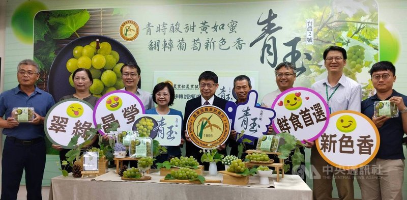 農業部農業試驗所1日舉行記者會，介紹以20年時間培育出的新品種葡萄「台農2號－青玉」，成熟時會自然呈現黃綠色果皮，現場並與農友簽署技術移轉意向書。中央社記者汪淑芬攝　115年7月1日