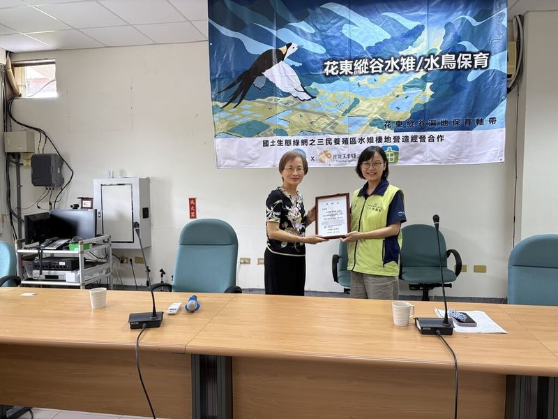 二級保育類動物水雉迎來繁殖季,花蓮縣玉里鎮三民養殖區業者高淑惠(左)配合延後清池,讓水雉安心育雛,獲林業及自然保育署花蓮分署頒發感謝狀。(林業及自然保育署花蓮分署提供)中央社記者張祈傳真 115年7月2日
