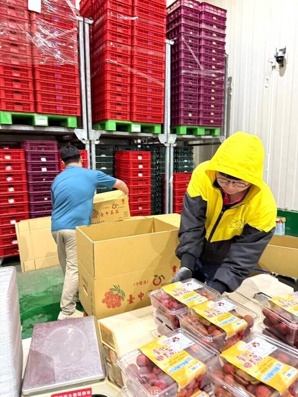 台中在地農會荔枝品牌「臺中美荔」進軍英國,採用冷鏈加工保鮮技術,以延長保鮮期,同時減少水分流失。(Cherrain Global提供)中央社記者陳韻聿倫敦傳真 115年7月2日