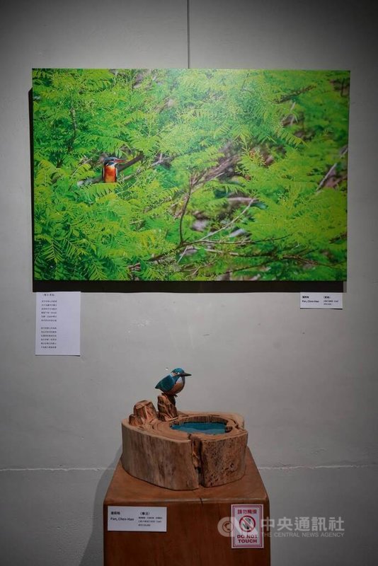 屏東木藝家潘辰皓新個展「默見與樸」4日開幕,展出結合了木雕、攝影與詩作,其中「專注-翠鳥」這首詩,啟發自一次對攝影師拍攝翠鳥的觀察,也延伸出了攝影與木雕作品。中央社記者黃郁菁攝 115年7月4日