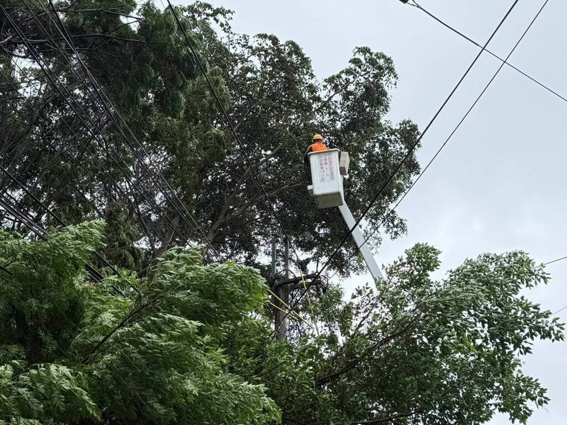 颱風巴威來襲，台中10日入夜後陸續有路樹倒塌，強風一度造成逾1.5萬戶停電，經台電公司投入搶修，尚餘2354戶停電。（台電公司提供）中央社記者蘇木春傳真　115年7月11日